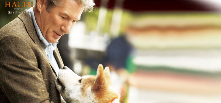 Hachi:&nbsp;A&nbsp;Dogs&nbsp;Tale