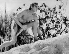 Tarzan the Ape Man (1932)