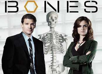 Bones - Season 12 - 08. The Grief and the Girl