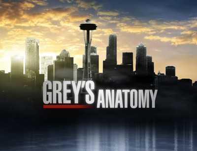 Grey's Anatomy - Season 13 - 19. What's Inside