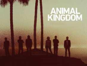 Animal Kingdom - Season 4 - 10. Exit Strategy