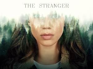 The Stranger - Season 1 - 04. Episode #1.4