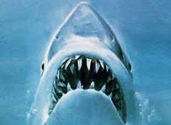 Jaws (1975) gledaj